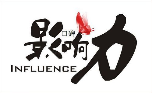 用户反馈与口碑