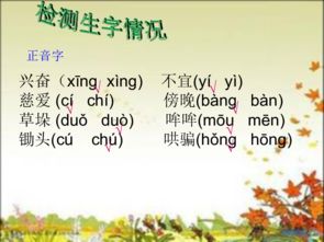 1. 气候指标的综合评估