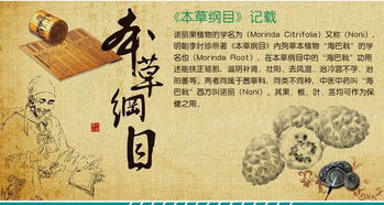 （一） 残卷遗事：风水较大师寻龙点穴的史诗性实践