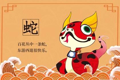 属蛇2026年运势中，推荐哪种色彩作为幸运色？