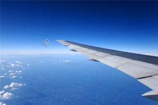 低空航空视域中的草原壮丽景观