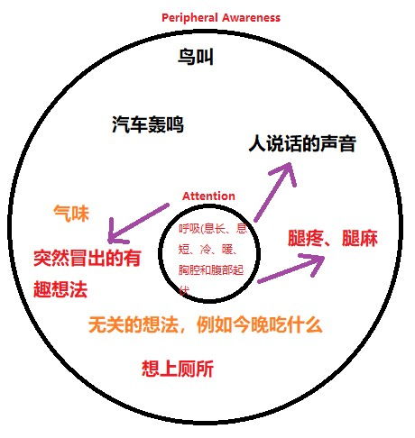 二、禅修之法— 如何驯服这只乱七八糟的心