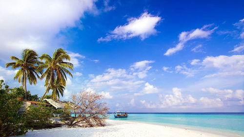 三、潜在性格缺陷及应对策略