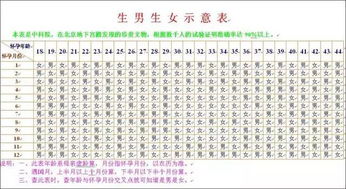 生男生女公式的基础知识