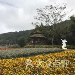 广州石门公园的终极摆烂指南，看完直接躺平！