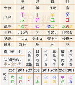 一、 癸亥月辛金伤官格局的基本特征及其运势概述