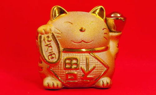 6月14日生肖龙双喜临门，家里财运如何，是不是会财源滚滚呢？