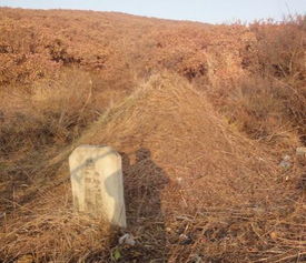 五、“后有靠山”的心理依托与现实变通