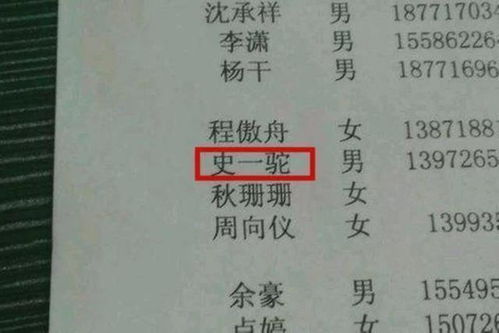 三、 创意组合：独一无二