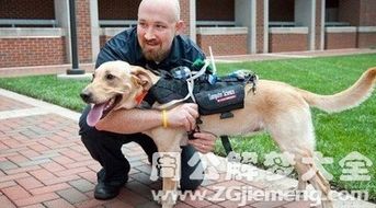 男人做梦梦到狗咬我是什么寓意或预示？