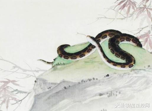 蛇影无定，蛇影难寻，哪个生肖像蛇一样神出鬼没？