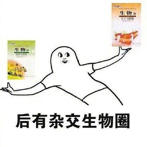 六、 眼部形态（细长双眼）对细致关怀行为的暗示