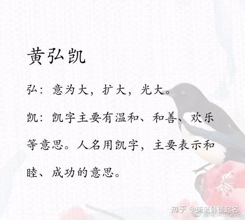四、 真实正启动“胡乱推荐”十几百个名字（这是因为我懒得数）
