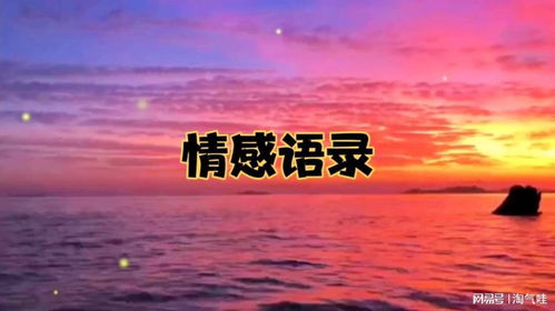 融入文化，  体验情感深度