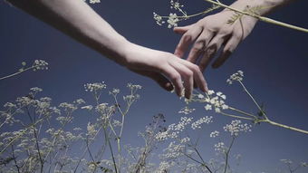 ：友谊与情愫的界限问题的学术探讨