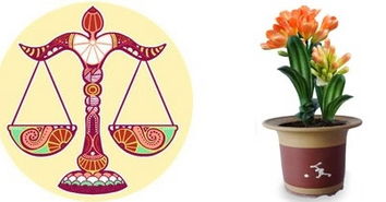 金运和开运有何不同？开运物具体指什么？