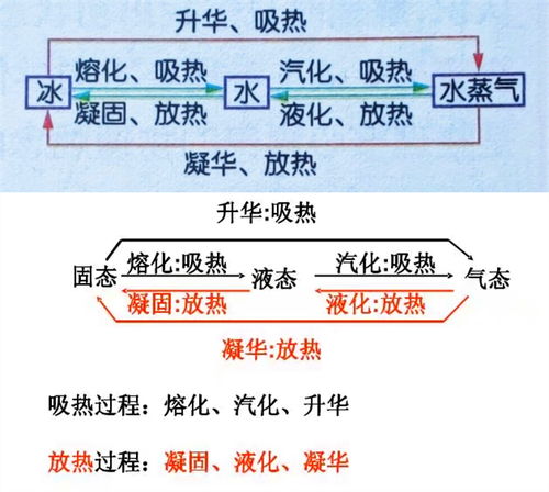 （三）案例研习与自我实践相结合