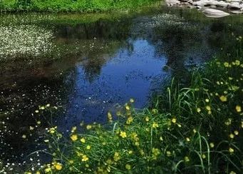 交通：堵到你怀疑人生