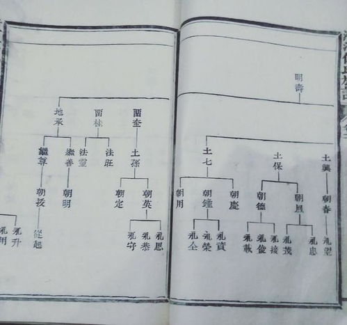 四、 风水文雅：空间范围布局对家族命运塑造之作用于