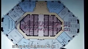 三、  垂直维度的五行生克：楼层选择的玄机