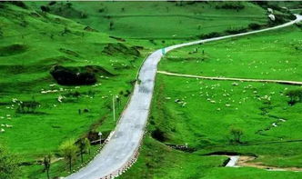 第二节：平坦大道的审美匮乏与风水学解析