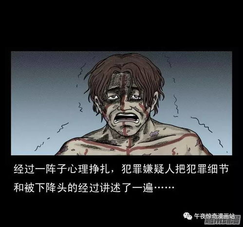 研究背景与问题提出