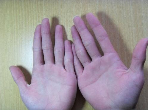 2.2 直觉线的启示