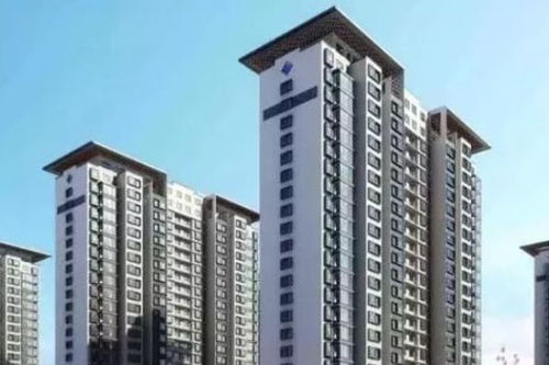 低成本高回报：潜龙在渊的价值