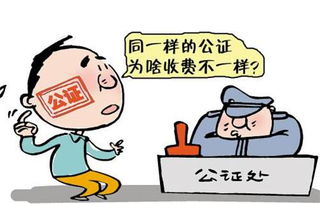 应对策略