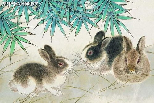 12月事业运！无聊到爆！