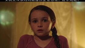 历史案例佐证：苏少安与张氏之谜