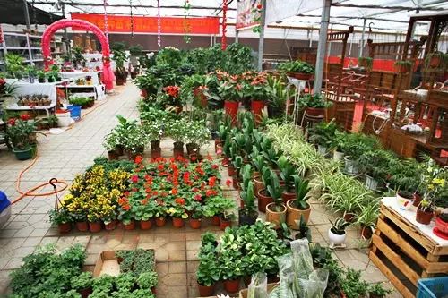 一、  名字里的五行密码：这一关过不去，神仙也难救