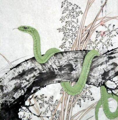 2013年出生的属蛇人在2026年农历十一月及每月运势具体如何？