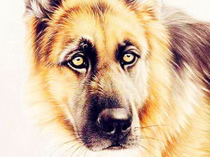 1.1 商贸才能与四月商机的蕴藏