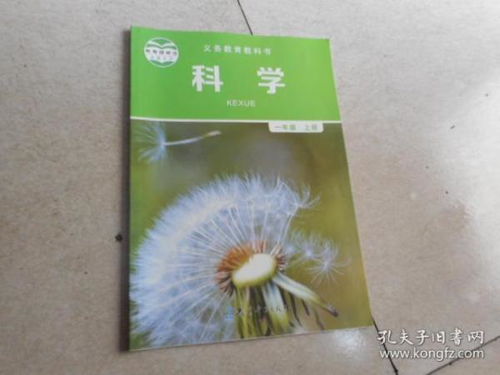 第五章：轮回与回溯