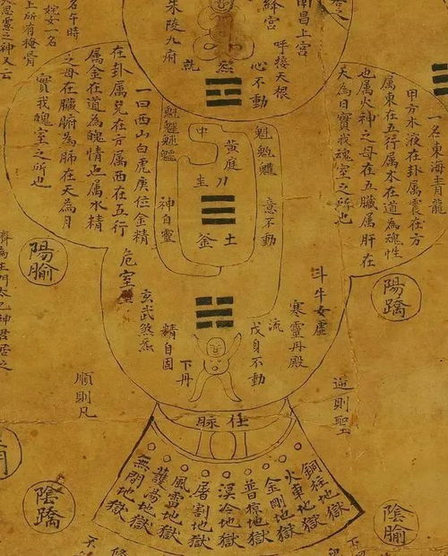 钱币放置法：简易而有效的空间布局