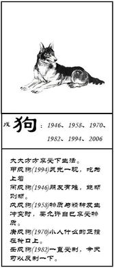 十二生肖运势详解作者是谁？