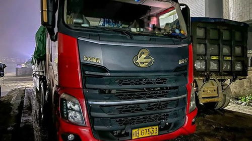 一、 生肖与五行：基于命理学的网名选择策略