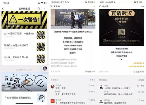 噪音段落（随机加入）：