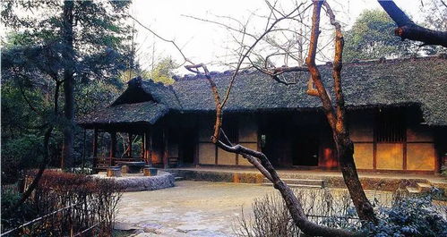 杜甫草堂博物馆——纪念诗圣的系统化展示空间