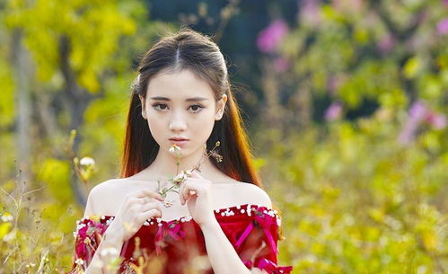 二、生肖星座与风水在命运构建中的交互作用