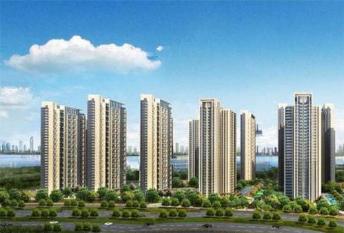 水流形态与生态植被的风水效应