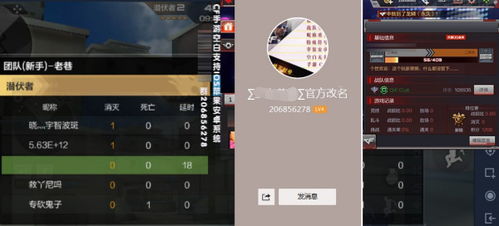 投入成本解析与风险因素评估