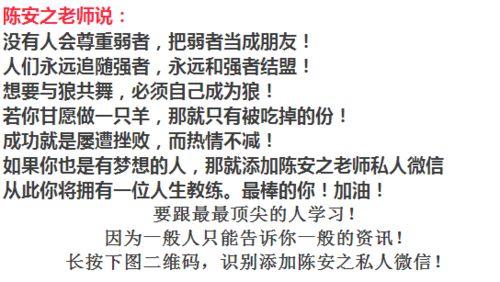 团队协作：弥补性格弱点的有效途径