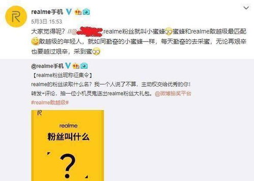 (1) 设问式引导与审美评价结合示例
