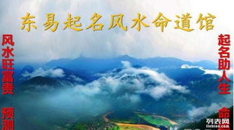 如何从玄学取名大全中找到高级且符合命理的起名方案？