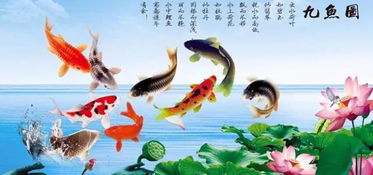 一　守岁的文化底蕴意涵及其礼仪功能