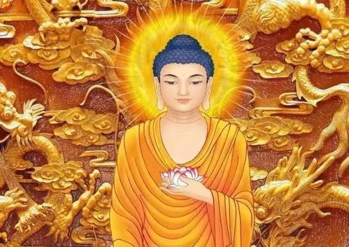 四、 密宗传统与当代社会议题之交织