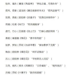 二、女孩子的专属“彩”：流行指数爆表