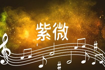 一、 紫微斗数对投资项目时机的辨识机制